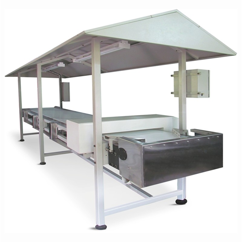 INSPECTION CONVEYOR / METAL DETECTION SYSTEM